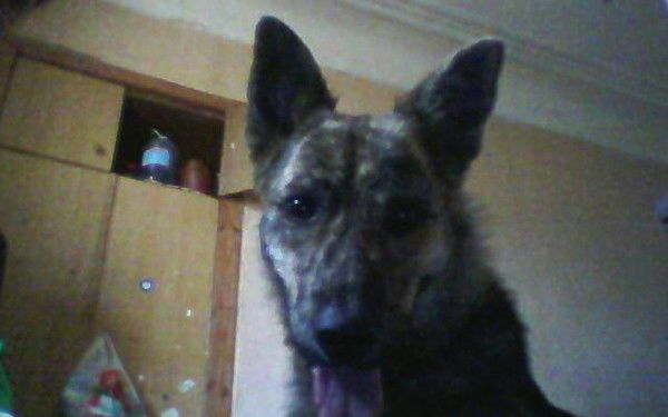 Марина Борисова