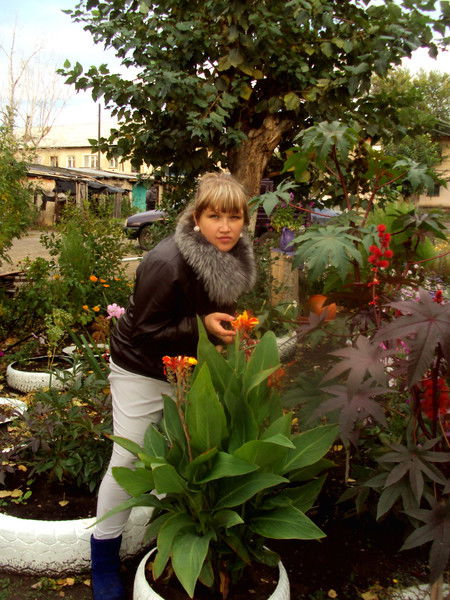 Пергаева Катерина