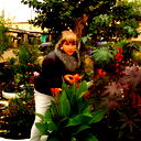 Пергаева Катерина