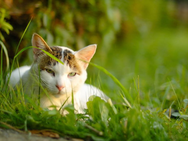 Наташа Дочкина