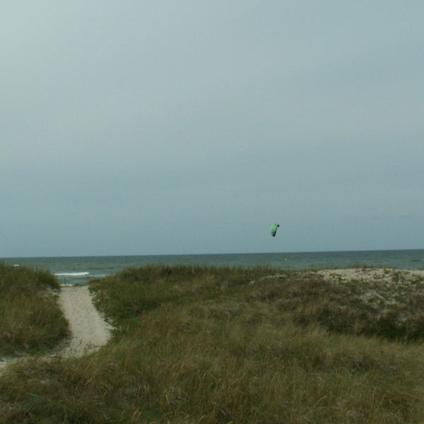 Светлана Воронцова