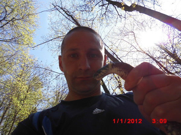 Дмитрий Чистенков