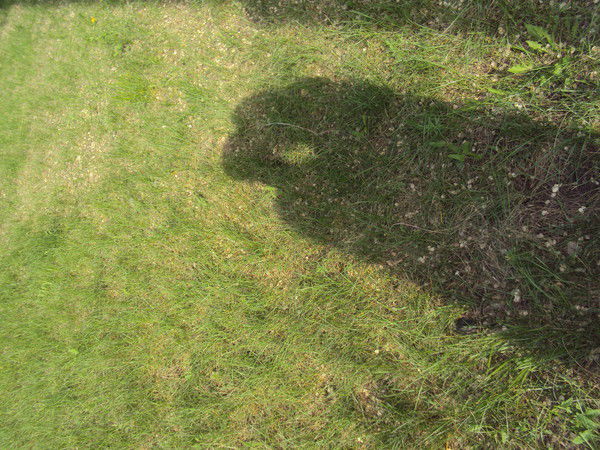 Антон Бочкин