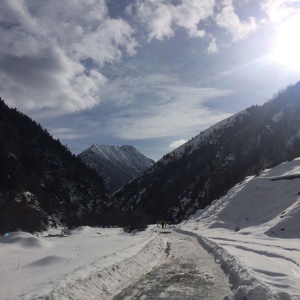 Алан Дзгоев