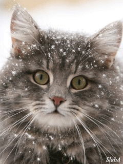 Барно Исмаилова