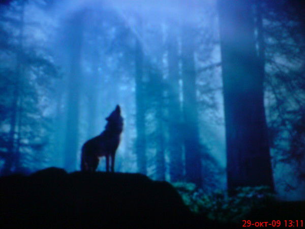 !!!-Кинто-!!! *