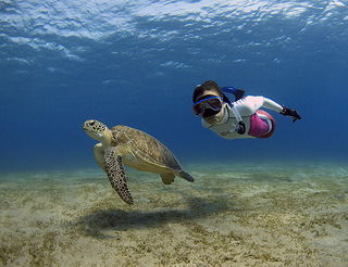 Давид Антонян