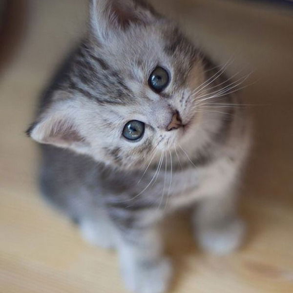 Aigerim Suigenbayeva