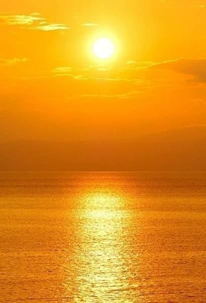 Роккол Обувь