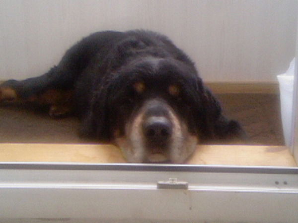 Эдуард Леверенц