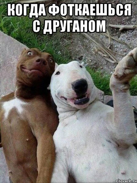 Ирина Татаринова