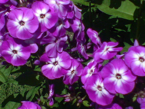 Татьяна Кулак