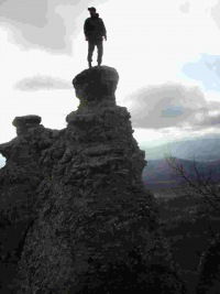 Дмитрий Шохин