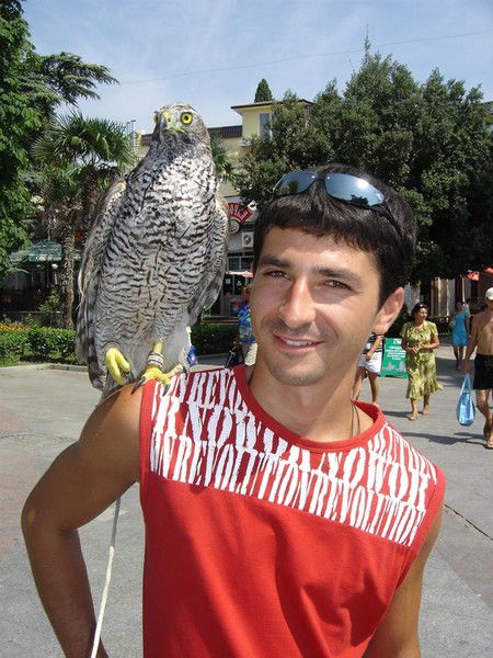 Андрей Коломиец