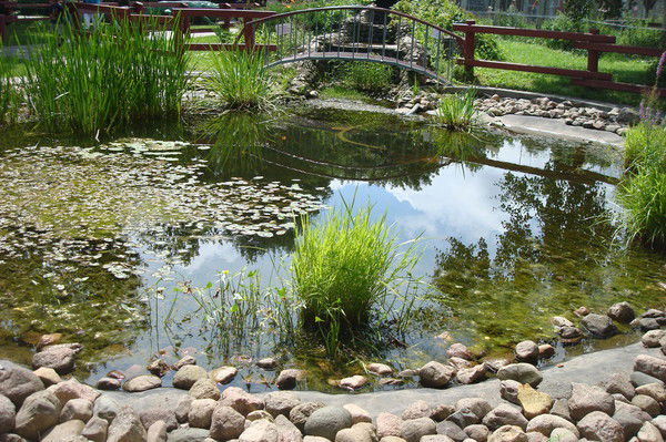 Ксения Бондаржевская