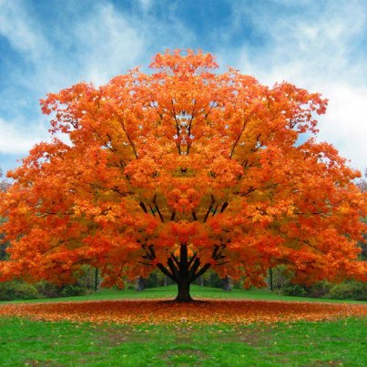 Syuzanna Harutyunyan