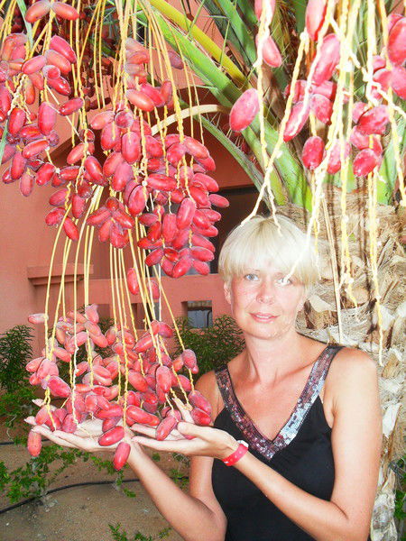 Светана Олейник