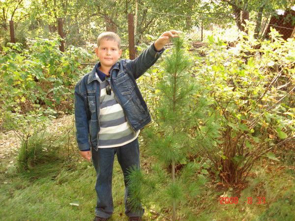 Никита Колокольцев