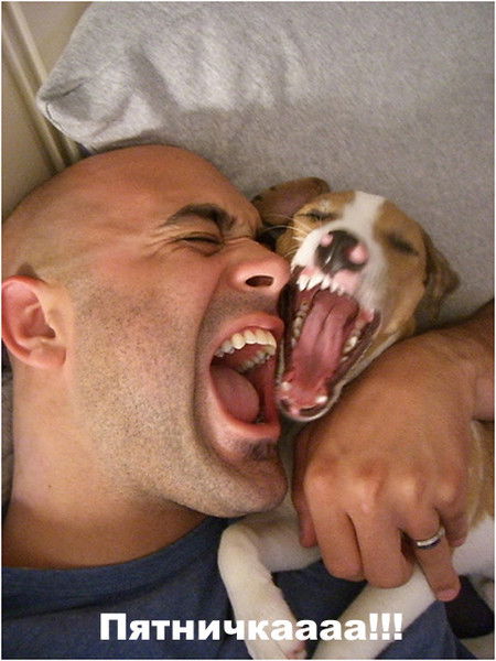 Дмитрий Новоселов