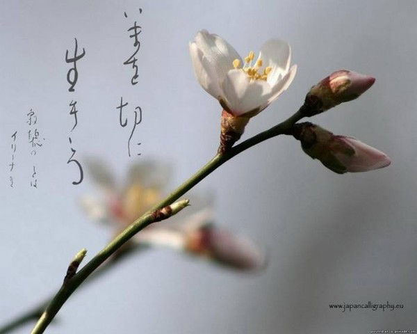 Наталья Сучкова