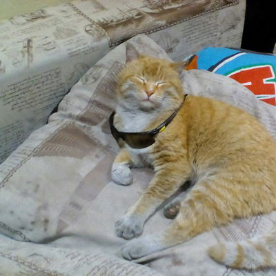 Виктор Коростылёв