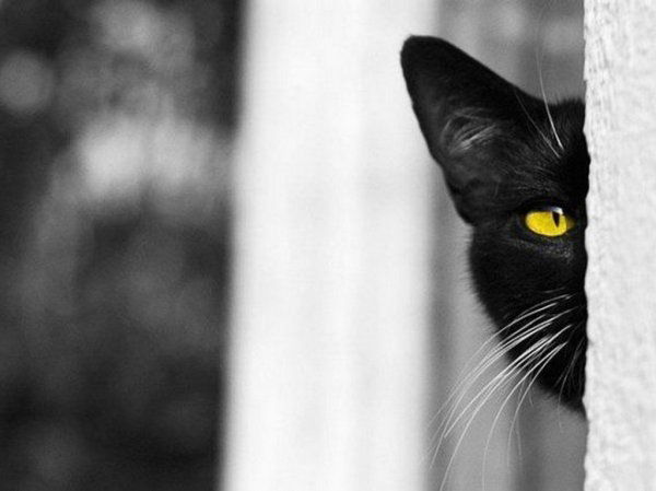 Любовь Новикова