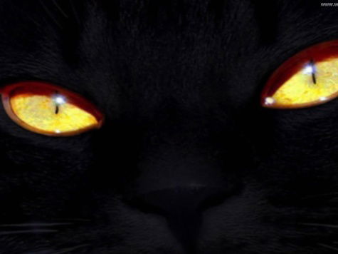 Евгения Lukyashko