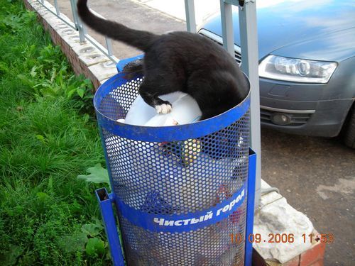 Ирина Карасева