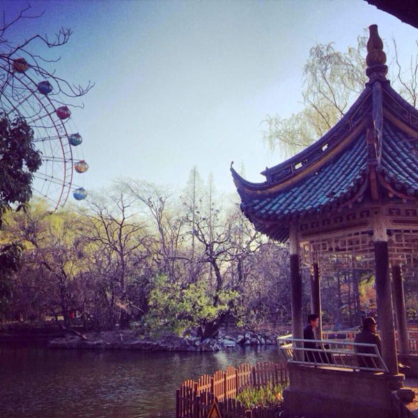 Гульнар Сатина