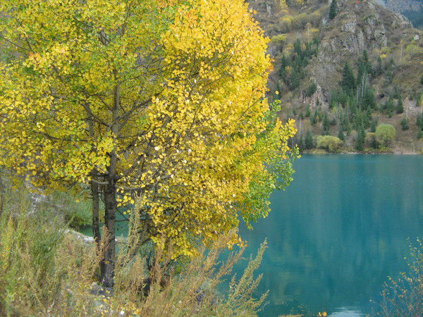 Олег Севрюков