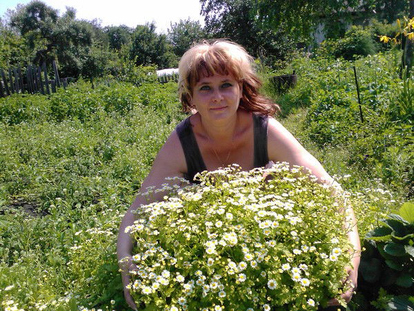 Елена Алпацкая