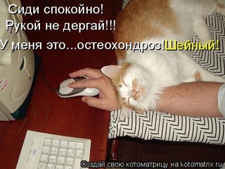 Анна Литвинова