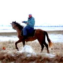 Евгений Кукин