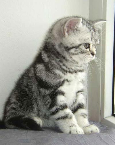 Сергей Зайцев