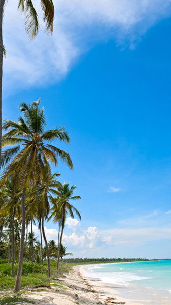 Георгий Топыгов