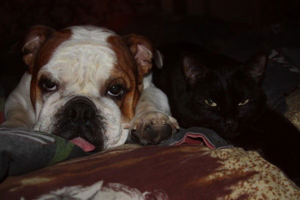 Дмитрий Буянов