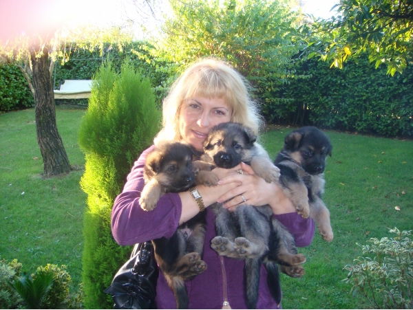 Наталья Пахолкина