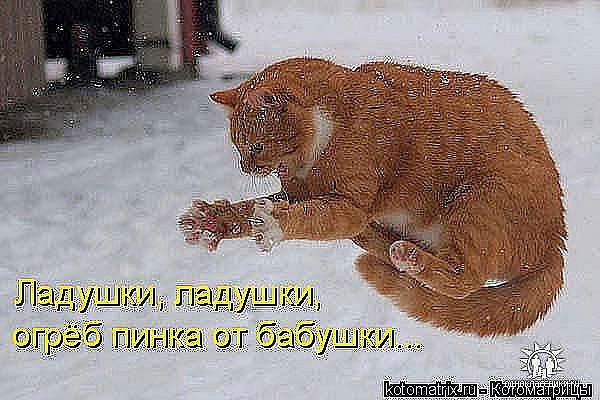 Ирина Бодрова