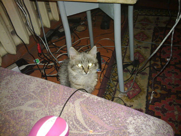 Анатолий Василенко