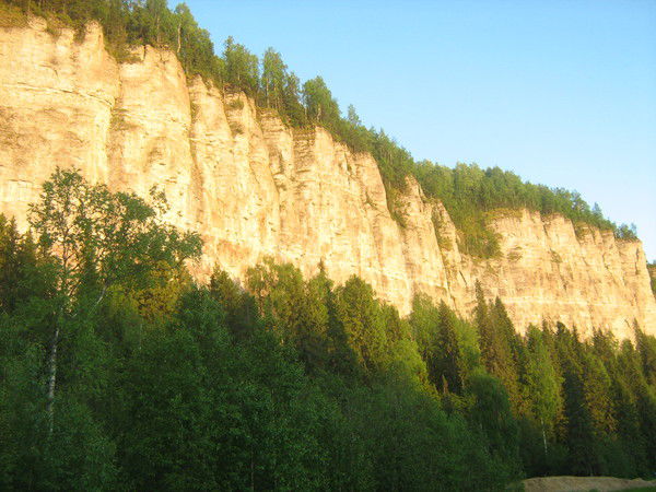 Николай Черных