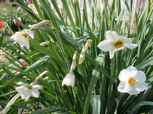 Истринский Филиал Гку Мо Мособллес