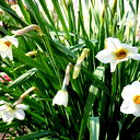 Истринский Филиал Гку Мо Мособллес