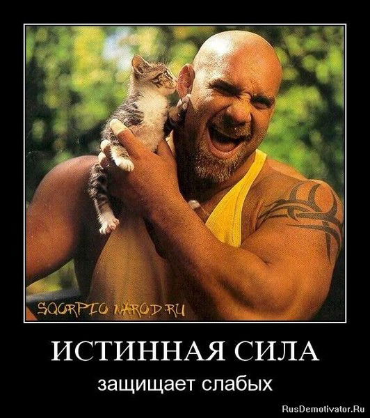 Ростик Фомин