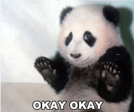 Слава Ильюшиц