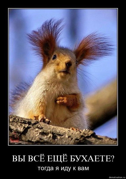 Владимир Гукайло