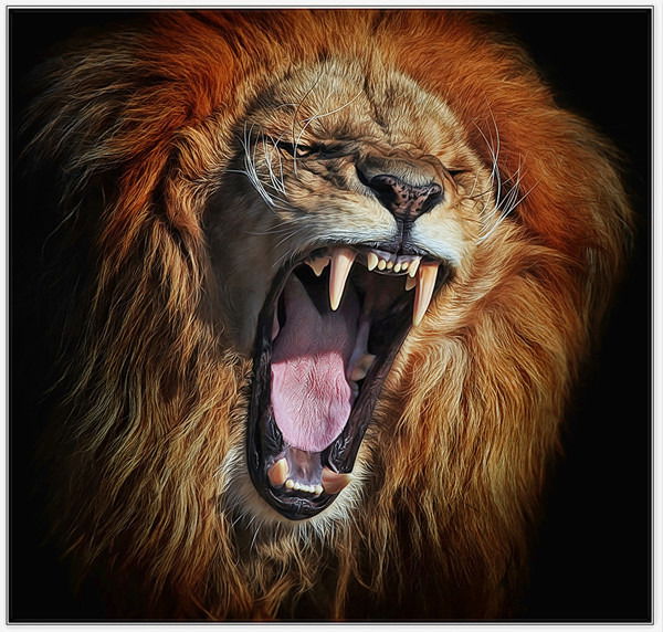 Денис Илюхин