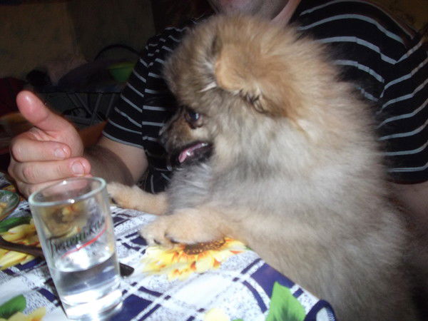 Леха Бушигин