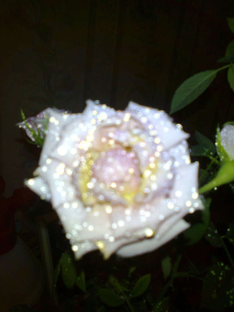 Юля Страздина