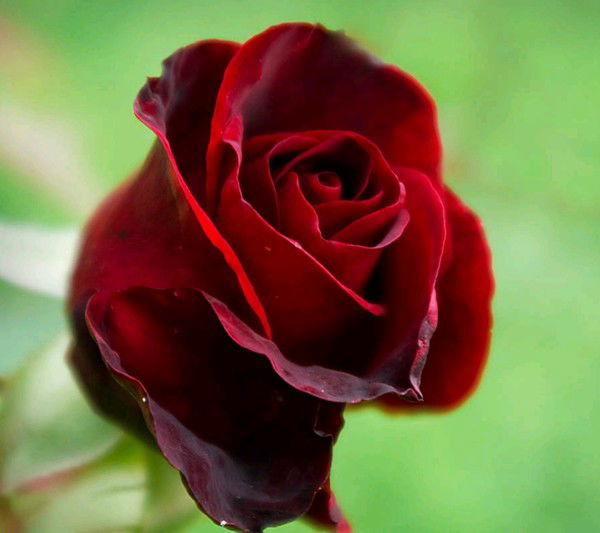 Ляззат Жонкебаева