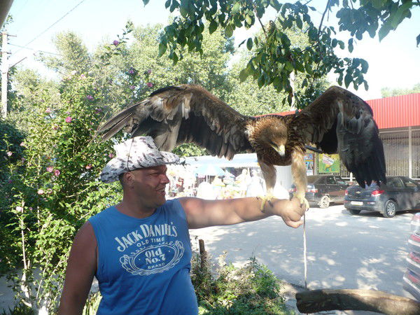 Николай Косачев